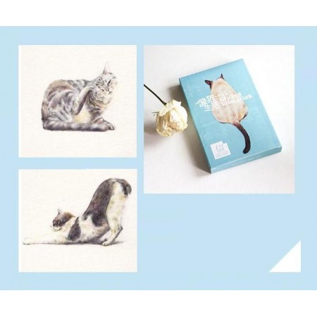 Кошки Набор открыток с изображением кошек 30 шт. (K0061)