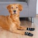 Trixie Dog Socks S-M обувь для собак (19522)