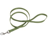 Coastal Single-Ply повідець для собак 1,6 см х 1,8 м зелений (00406)