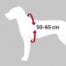 Trixie (Трикси) Car Harness Dog Comfort Автомобильная Шлея для собак 50-65 см / 17 мм