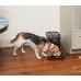 PetSafe Healthy Pet автокормушка для собак и кошек (15521)