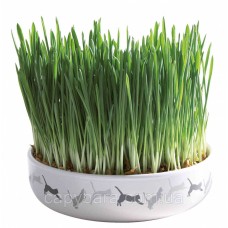Trixie Ceramic Bowl with Cat Grass Миска керамическая для проращивания травы для кошек 15 см (42341)