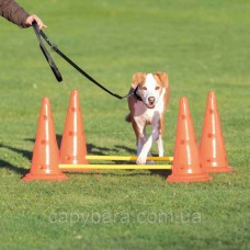 Trixie (Трикси) Obstacle Set Набор препятствий тренировочный для собак 4 пилона 2 полюса