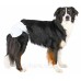 Trixie (Трикси) Diapers for Female Dogs Памперсы для собак XS-S 20-28 см