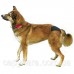 Trixie (Трикси) Protective Pants Защитные трусы для собак № 2 размер S-M