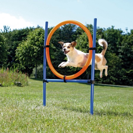 Trixie Agility Ring Бар'єр з кільцем для тренування собак (3208)