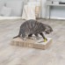 Trixie Scratching Cardboard Игрушка Когтеточка картонная для кошек (48006)