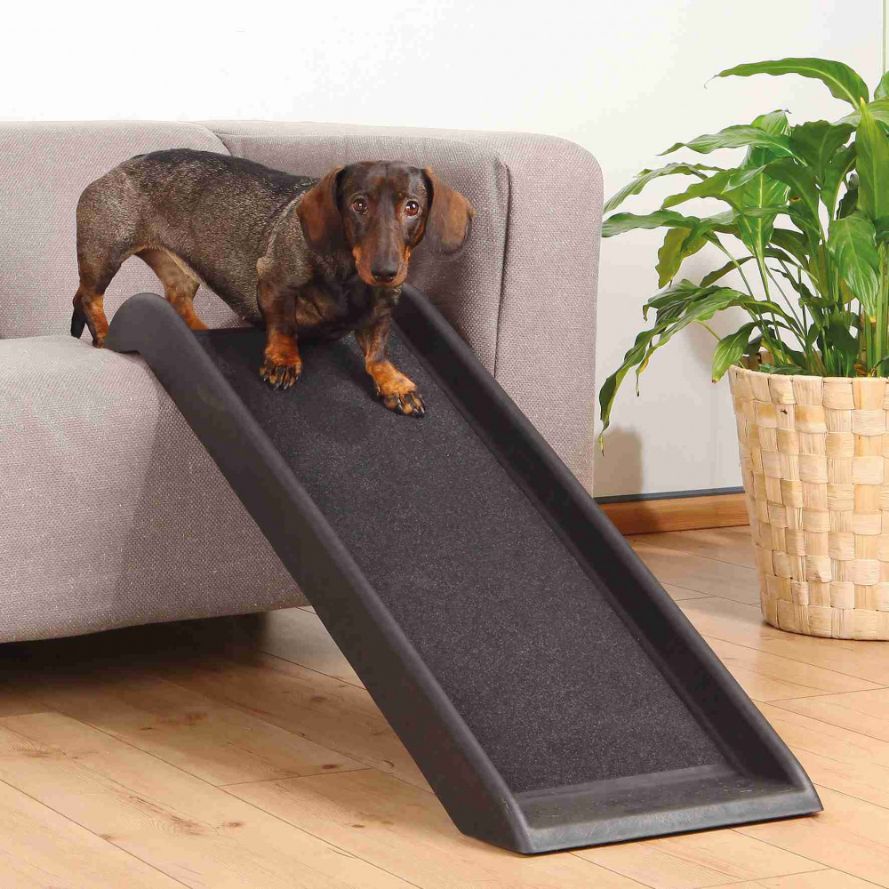 Trixie Petwalk Ramp пандус для собак до 50 кг 38 × 100 см (3942) Trixie Petwalk Ramp пандус для собак до 50 кг 38 × 100 см (3942)