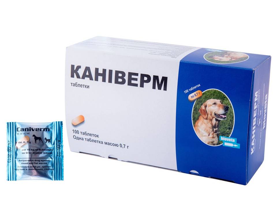 Caniverm (Каниверм) таблетки от глистов для собак и кошек на 10 кг веса (0006) Caniverm (Каниверм) таблетки от глистов для собак и кошек на 10 кг веса (0006)