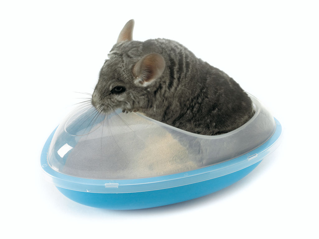 Savic Chinchilla Bath Купалка для шиншилл пластик 35х23х15 см (0189)
