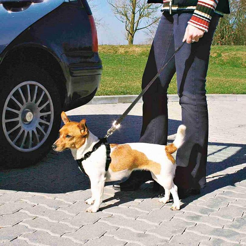Trixie Car Harness Автомобільна шлея для собак S 30-60 см / 20 мм (1290) Trixie Car Harness Автомобільна шлея для собак S 30-60 см / 20 мм (1290)