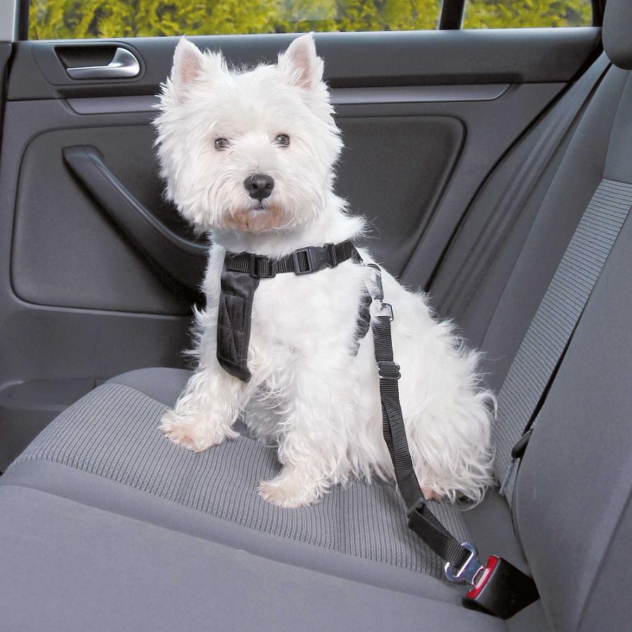 Trixie Car Harness Автомобільна шлея для собак XS 20-50 см / 15 мм (1288) Trixie Car Harness Автомобільна шлея для собак XS 20-50 см / 15 мм (1288)