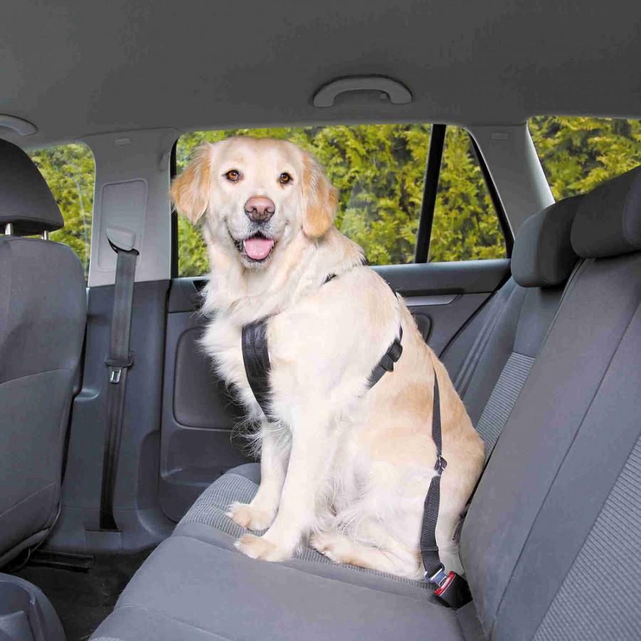 Trixie Car Harness Автомобільна шлея для собак M 50-70 см / 25 мм (1291) Trixie Car Harness Автомобільна шлея для собак M 50-70 см / 25 мм (1291)