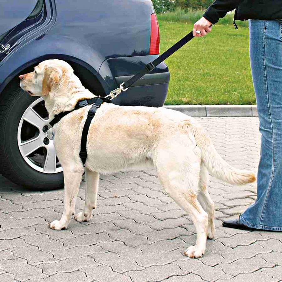 Trixie Car Harness Автомобільна шлея для собак L 70-90 см / 25 мм (1292) Trixie Car Harness Автомобільна шлея для собак L 70-90 см / 25 мм (1292)