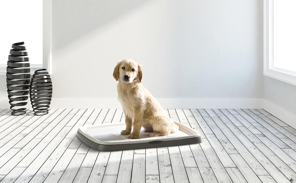 Savic Puppy Trainer Large туалет для собак и щенков 60 х 48 см (3241) Savic Puppy Trainer Large туалет для собак и щенков 60 х 48 см (3241)