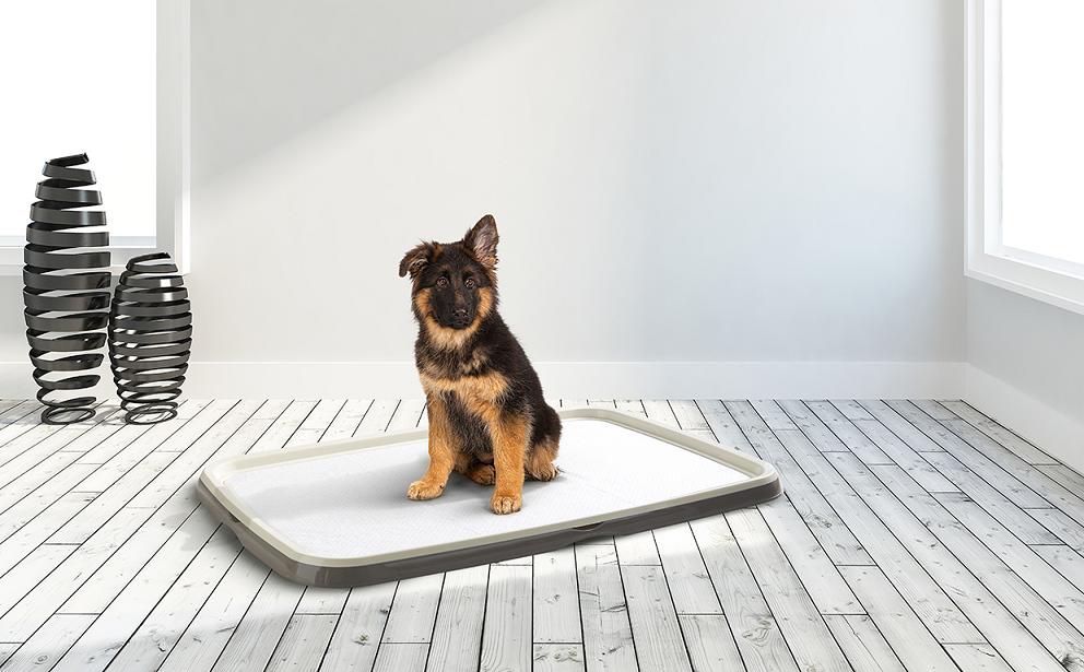 Savic Puppy Trainer Extra-Large туалет для собак и щенков 94 х 64 см (3242) Savic Puppy Trainer Extra-Large туалет для собак и щенков 94 х 64 см (3242)