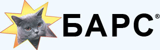 Барс